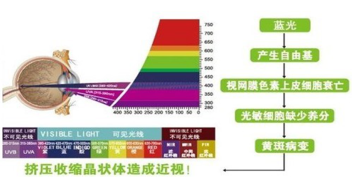 图片[4]-权威发布 | 预防青少年近视从教室健康照明开始-光的魔术师